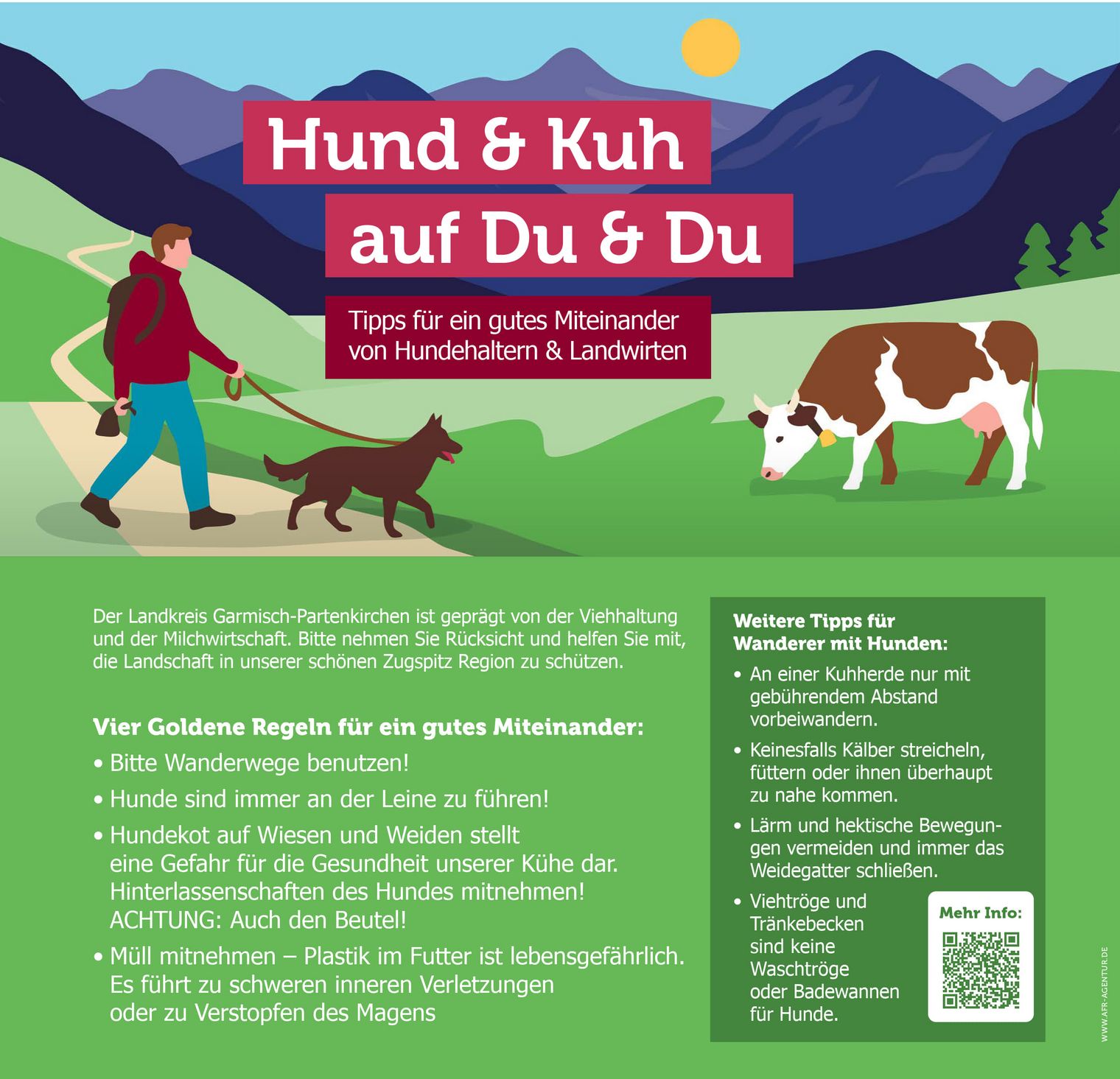 Hund und Kuh stehen nebeneinander auf einer Almwiese in der Zugspitz Region.